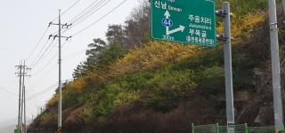 벤치그린 10년 이상